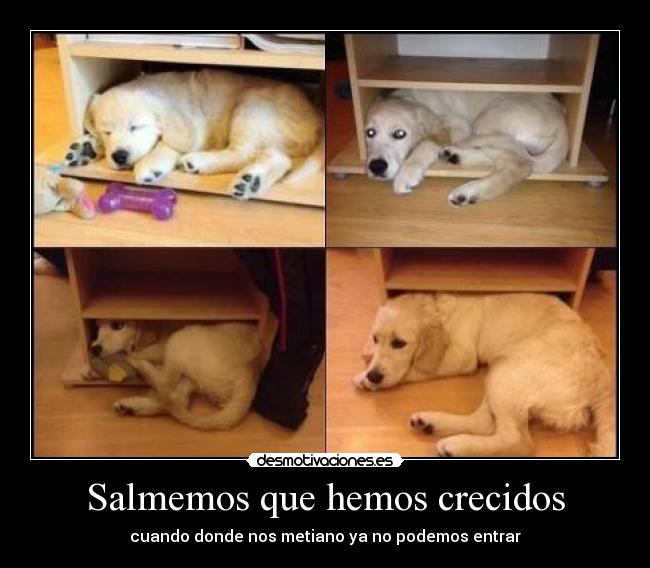 Salmemos que hemos crecidos -