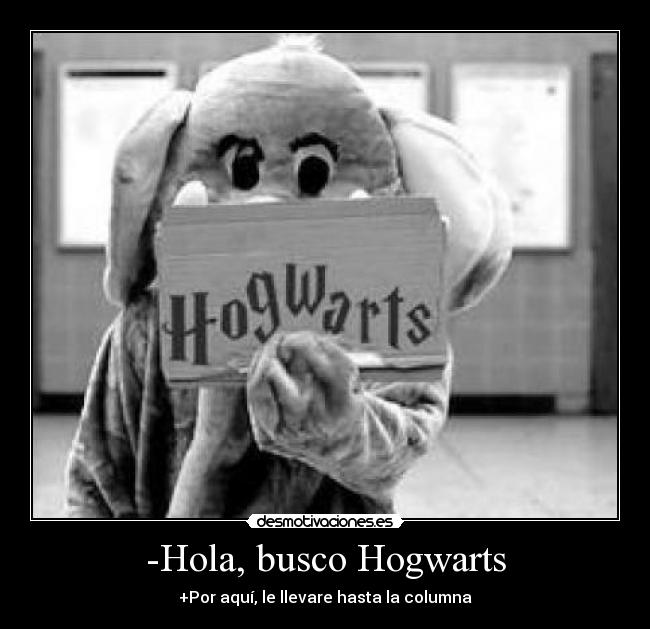 -Hola, busco Hogwarts - 