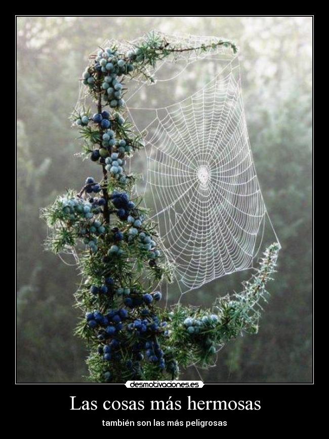 carteles dependiendo desmotivaciones