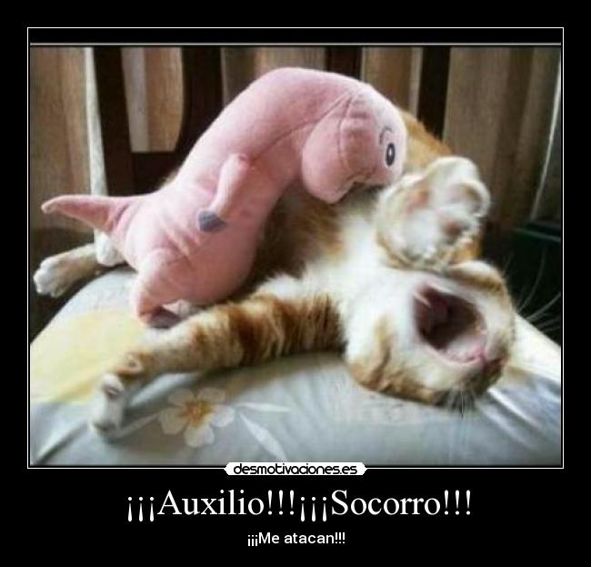 ¡¡¡Auxilio!!!¡¡¡Socorro!!! - ¡¡¡Me atacan!!!