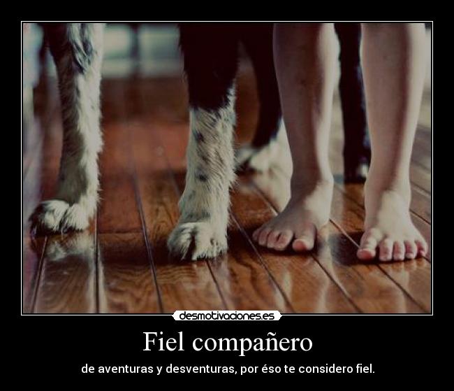 Fiel compañero - 