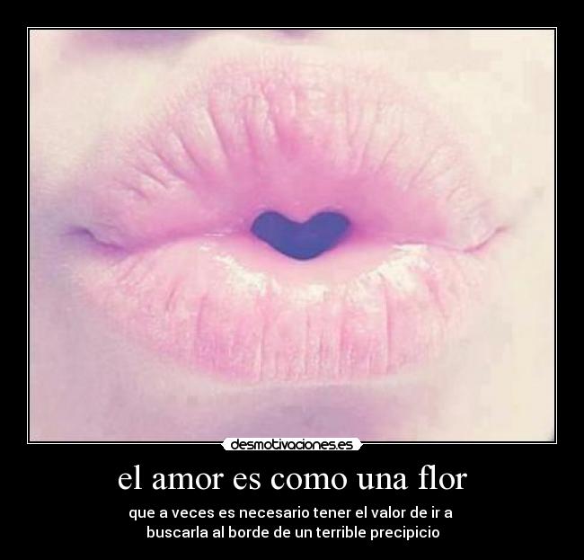 carteles amor efqwqewqeqqweqeq desmotivaciones