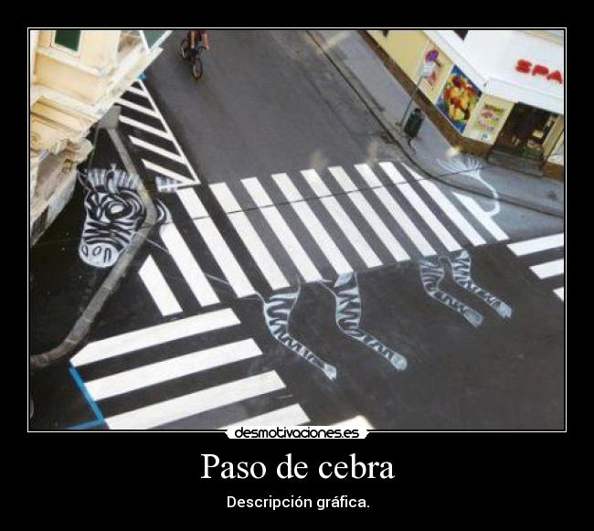 Paso de cebra - 