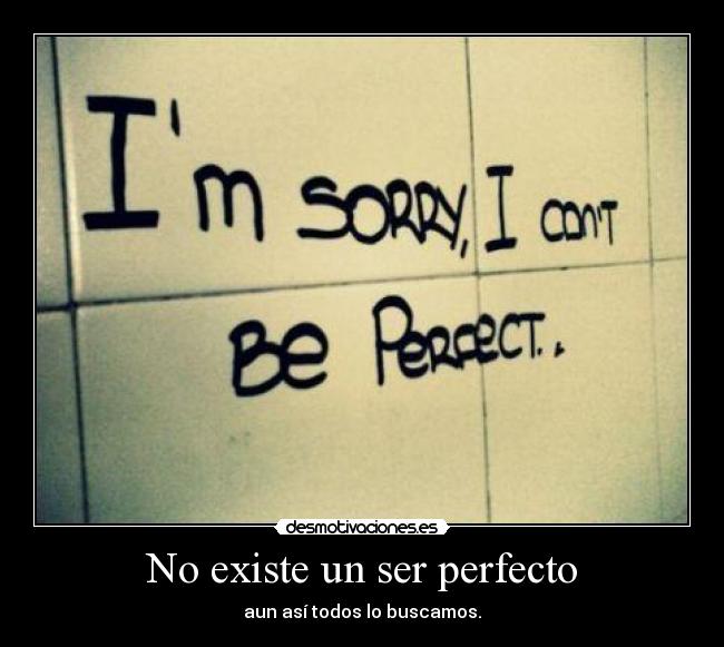 No existe un ser perfecto - 