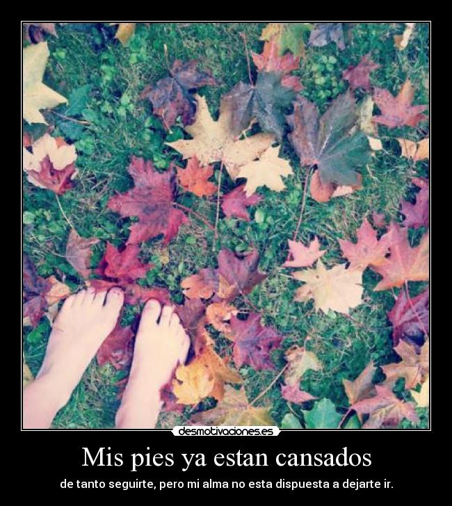 Mis pies ya estan cansados - de tanto seguirte, pero mi alma no esta dispuesta a dejarte ir.