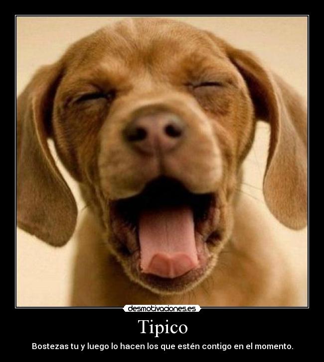 Tipico -
