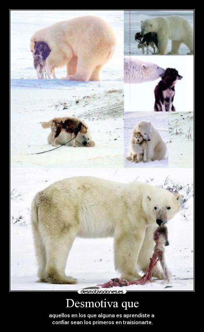 Desmotiva que - aquellos en los que alguna es aprendiste a 
confiar sean los primeros en traisionarte.