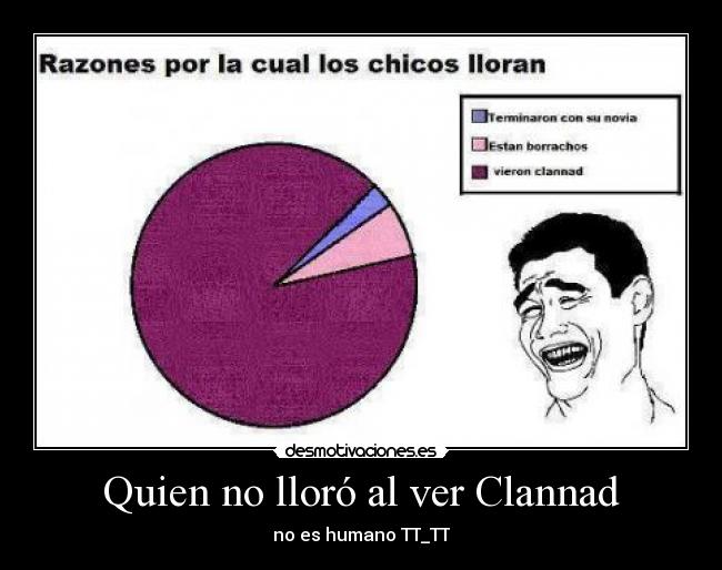 Quien no lloró al ver Clannad -