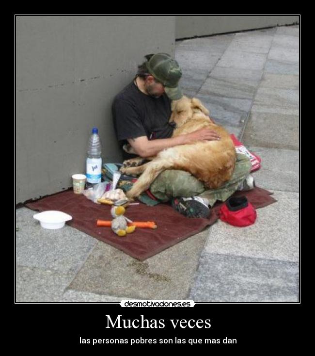 carteles perro persona humilde desmotivaciones