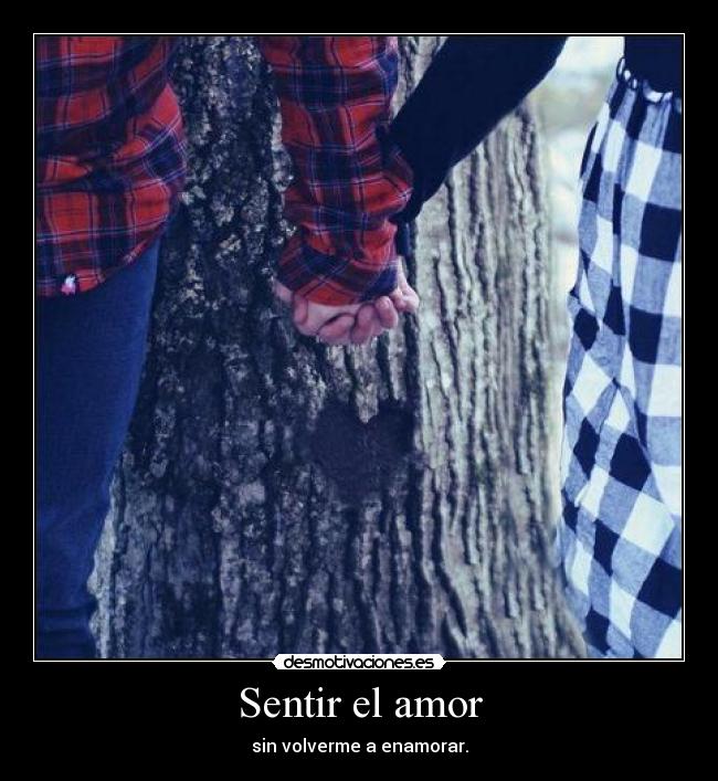 Sentir el amor -