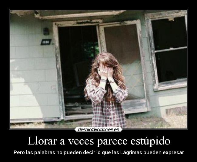 Llorar a veces parece estúpido - Pero las palabras no pueden decir lo que las Lágrimas pueden expresar