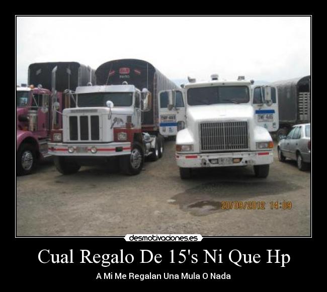Cual Regalo De 15s Ni Que Hp - A Mi Me Regalan Una Mula O Nada