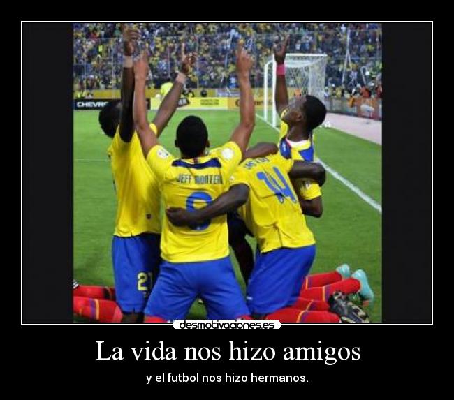 carteles vida amigos ecuador desmotivaciones