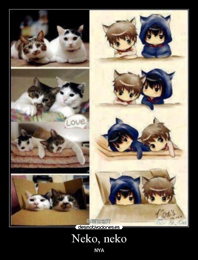 Neko, neko -
