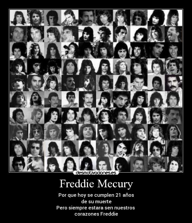 Freddie Mecury -