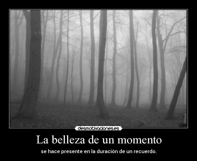 La belleza de un momento - se hace presente en la duración de un recuerdo.