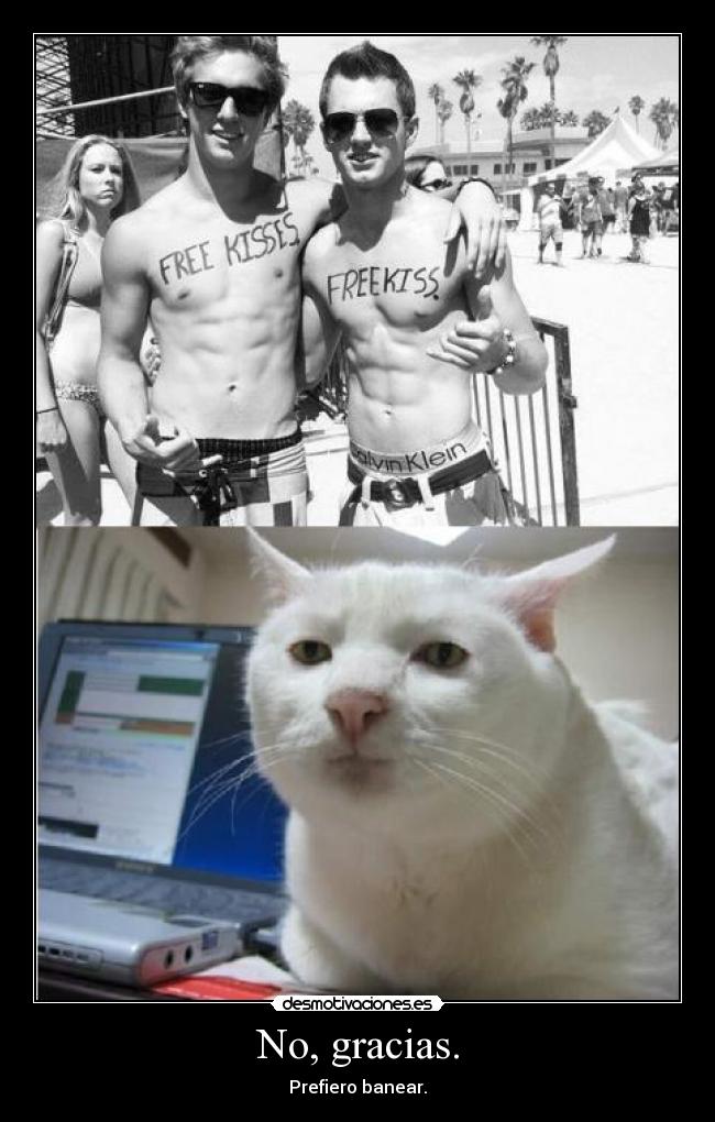 No, gracias. - Prefiero banear.
