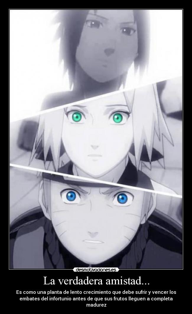La verdadera amistad... -