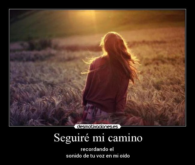 Seguiré mi camino -