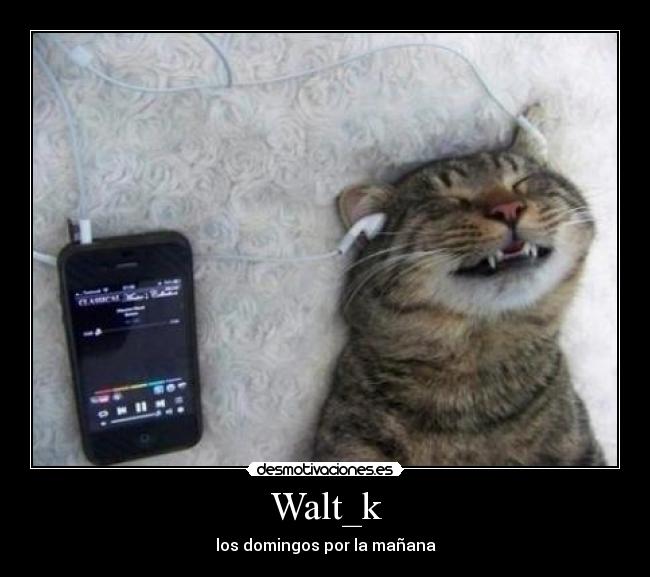 Walt_k - los domingos por la mañana