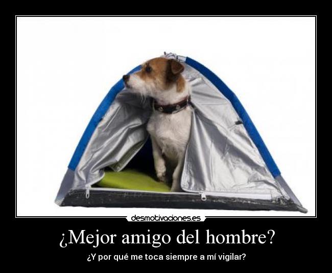 ¿Mejor amigo del hombre? - ¿Y por qué me toca siempre a mí vigilar?