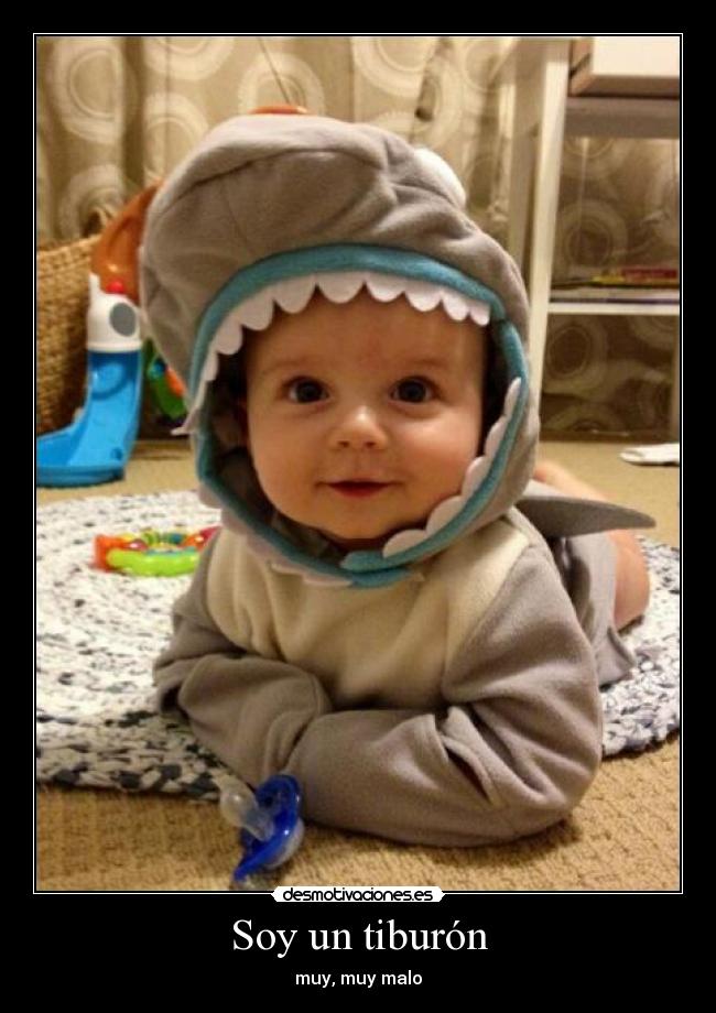 Soy un tiburón - muy, muy malo