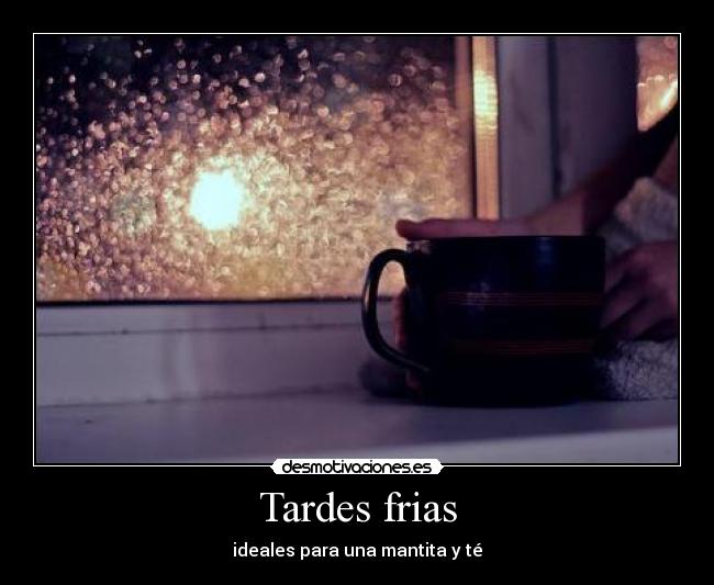 Tardes frias - ideales para una mantita y té