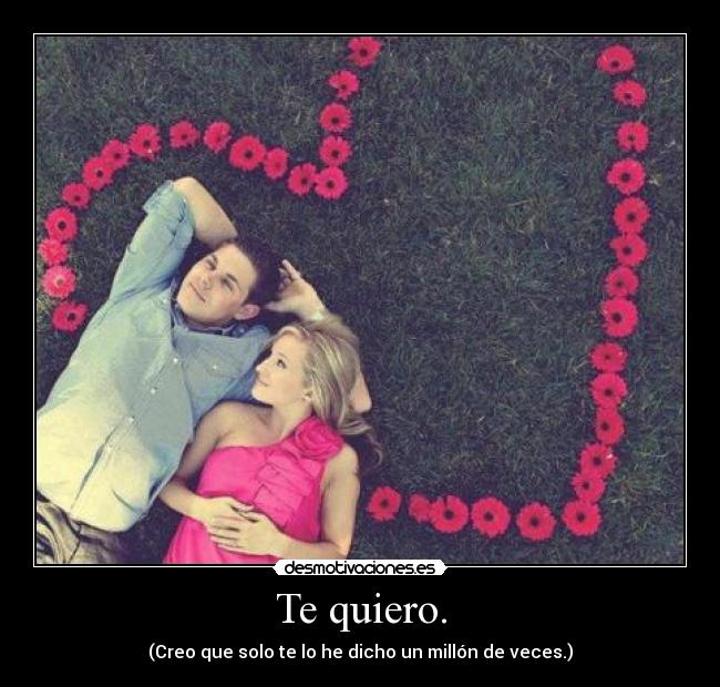 Te quiero. - (Creo que solo te lo he dicho un millón de veces.)