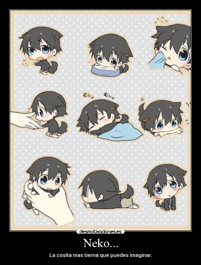 Neko... - 