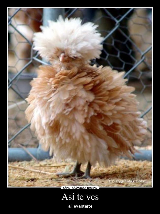 carteles asi ves desmotivaciones