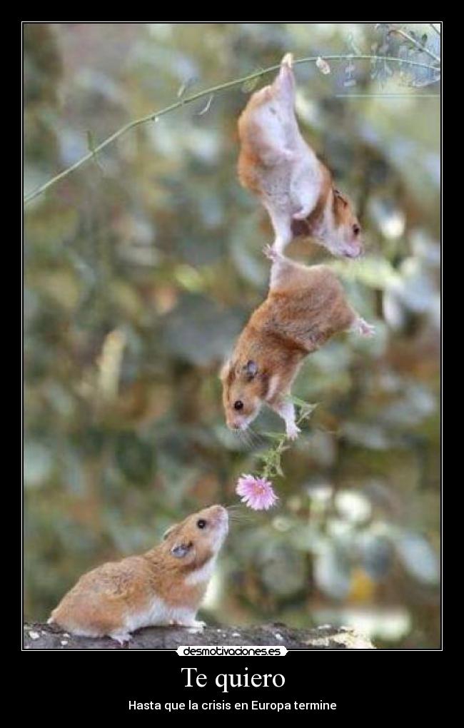 Te quiero - Hasta que la crisis en Europa termine