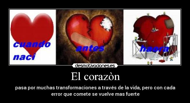 El corazòn - pasa por muchas transformaciones a través de la vida, pero con cada
error que comete se vuelve mas fuerte