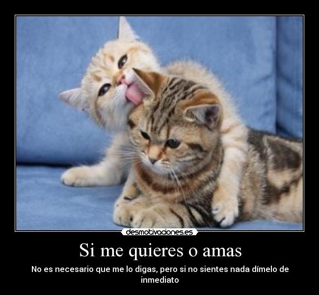 carteles quieres digas pero quieres dimelo desmotivaciones