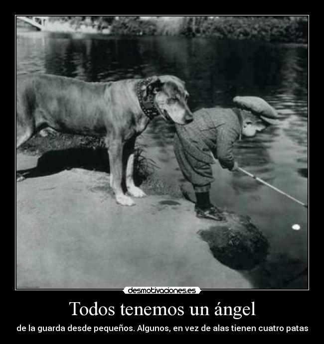Todos tenemos un ángel -
