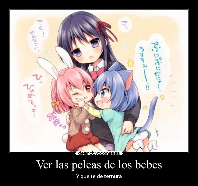 Ver las peleas de los bebes -