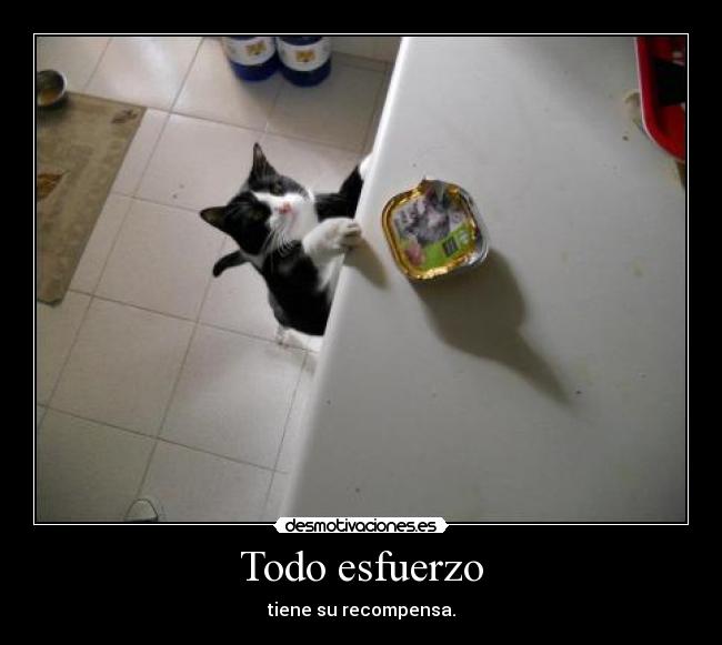 Todo esfuerzo - tiene su recompensa.