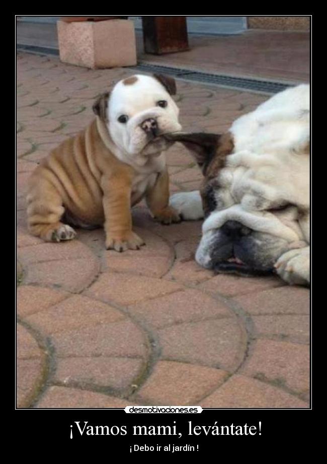 ¡Vamos mami, levántate! - ¡ Debo ir al jardín !