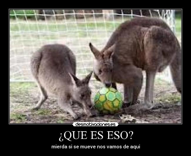 ¿QUE ES ESO? - mierda si se mueve nos vamos de aqui