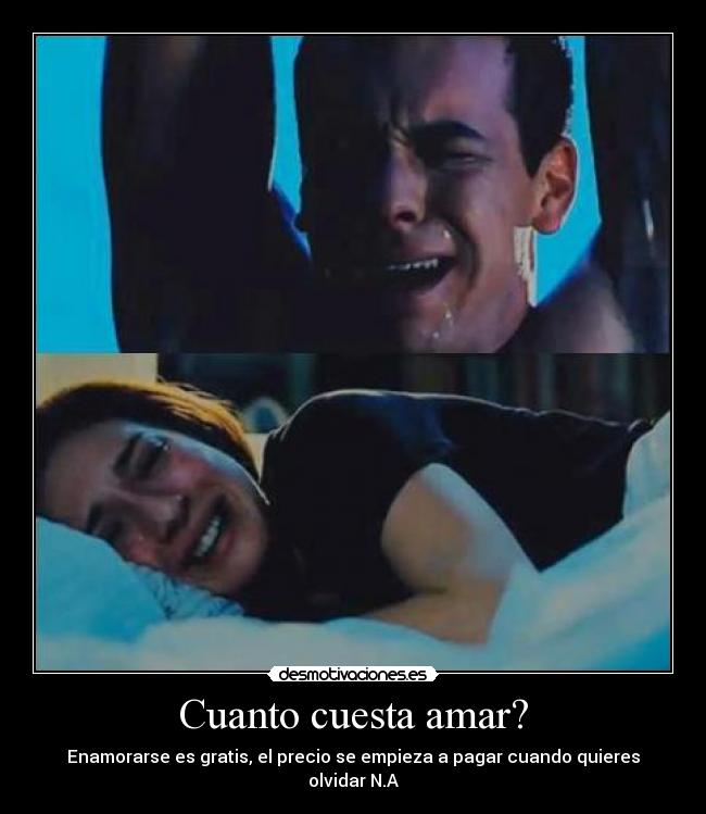Cuanto cuesta amar? - Enamorarse es gratis, el precio se empieza a pagar cuando quieres olvidar N.A