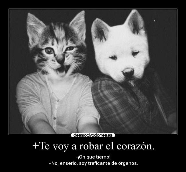 +Te voy a robar el corazón. - -¡Oh que tierno!
+No, enserio, soy traficante de órganos.