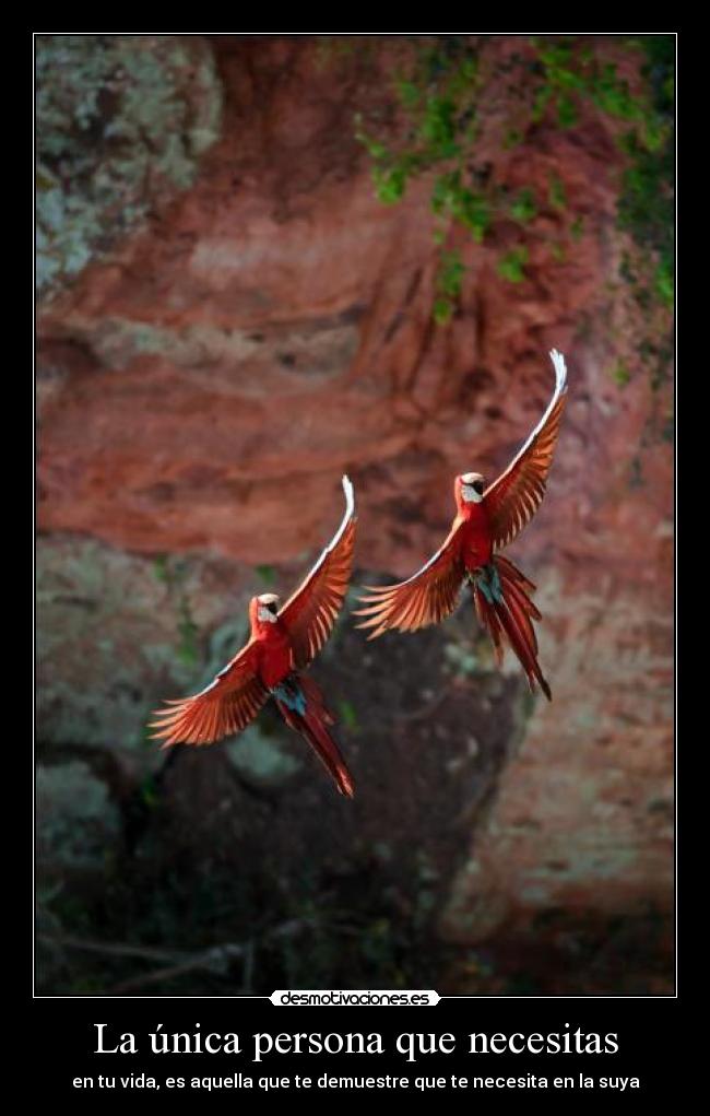 La única persona que necesitas - 
