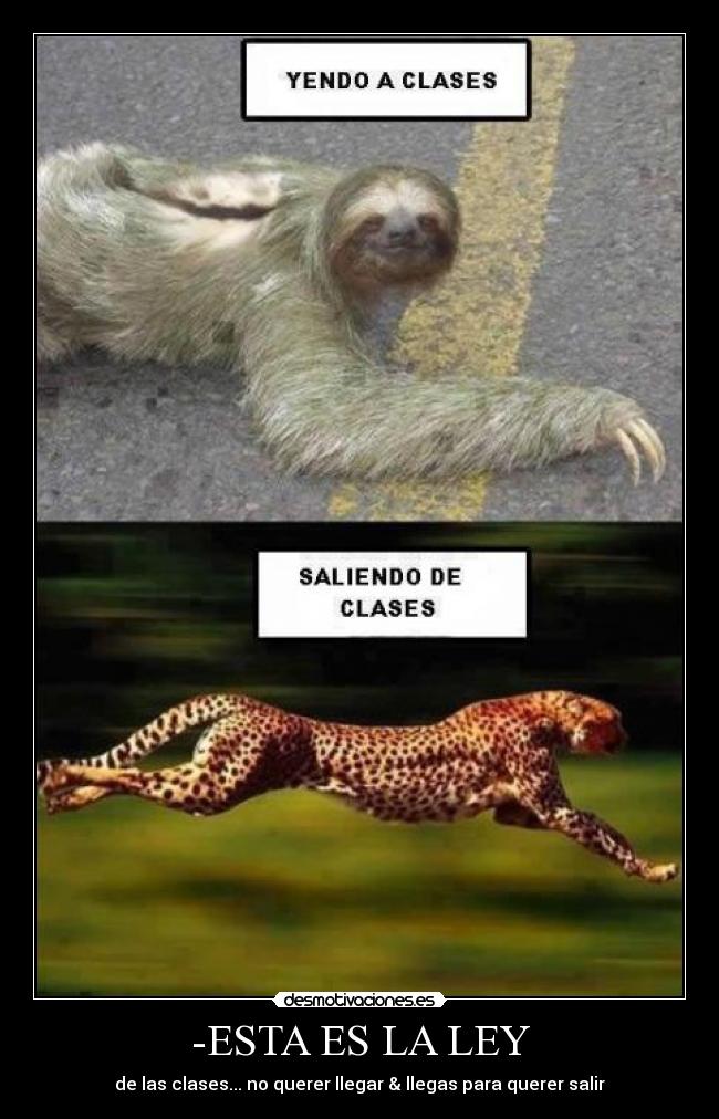 -ESTA ES LA LEY -