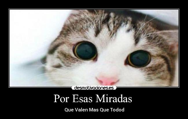 carteles aura lopez perez juli herrera desmotivaciones