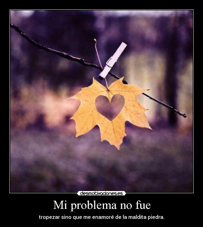 Mi problema no fue - 
