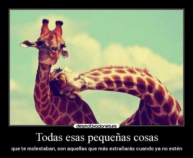 Todas esas pequeñas cosas - que te molestaban, son aquellas que más extrañarás cuando ya no estén