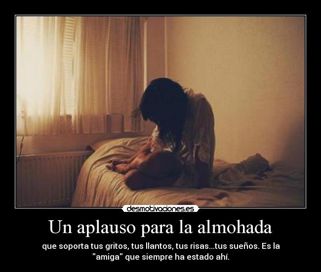 carteles sierto desmotivaciones