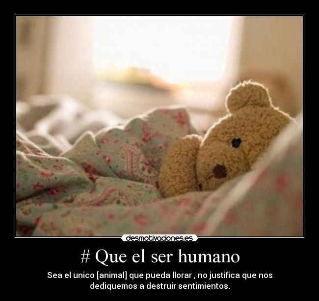 # Que el ser humano -