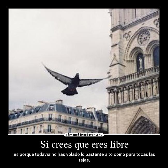Si crees que eres libre -