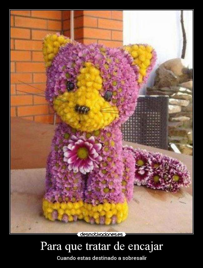 carteles para que encajar mismo estas destinado sobresalir desmotivaciones