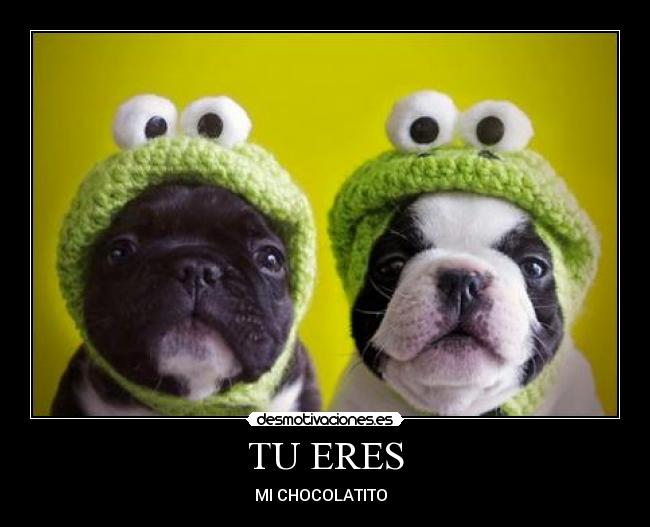 carteles cinthia luis medina desmotivaciones